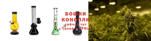 mdpv Богородицк