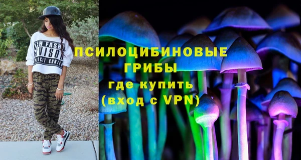 гашиш Богданович