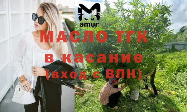 молекула духа Богородск